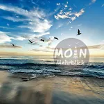 Moin Mehrblick Schillig
