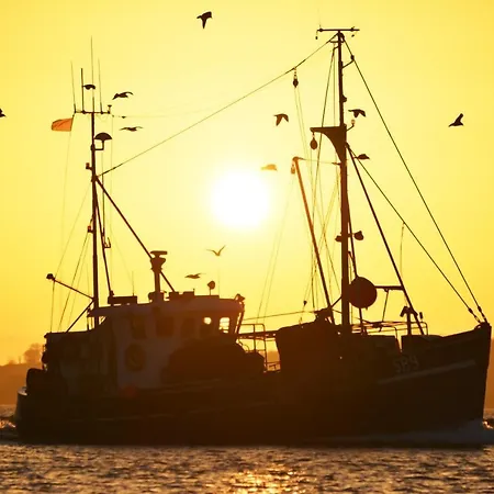 Moin Mehrblick Schillig