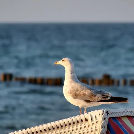Moin Mehrblick *