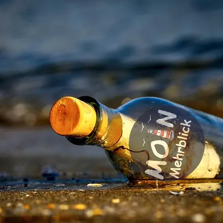 Apartament Moin Mehrblick *