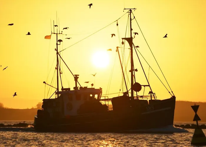 Moin Mehrblick Schillig